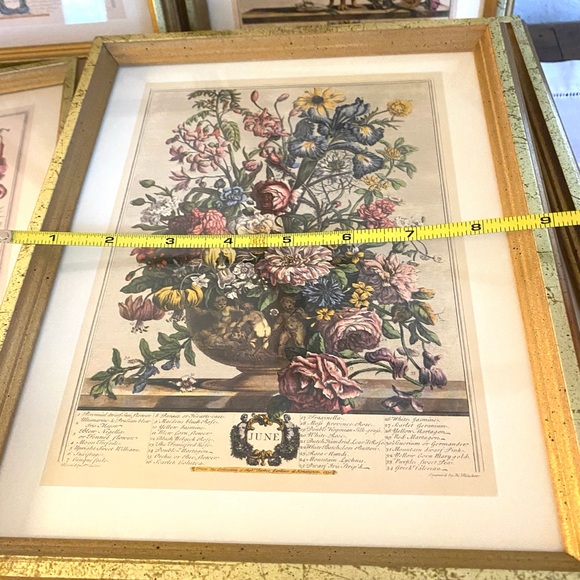 Elegant Gold Framed Botanical Art Print - Picture 7 of 10